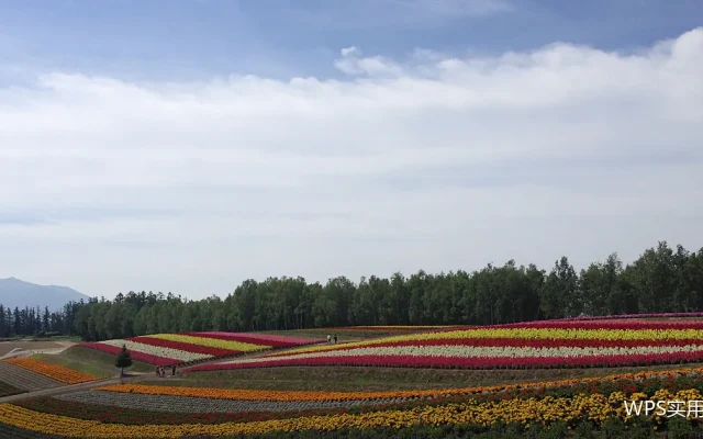 数据核对利器：查找函数的规范用法