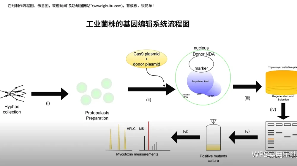 高级筛选：把符合条件的数据复制到别处
