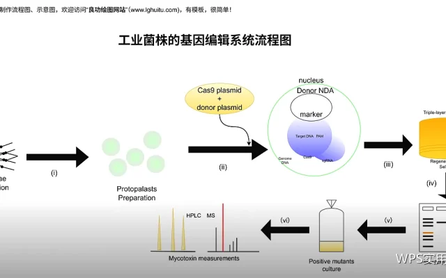 高级筛选：把符合条件的数据复制到别处