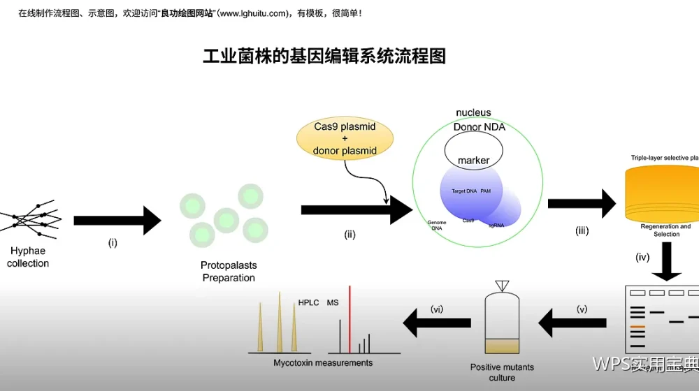 透视表刷新与数据源动态扩展