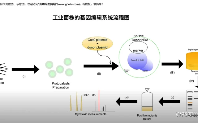 透视表刷新与数据源动态扩展