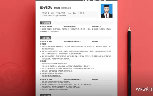 WPS表格图表入门：从数据到图表的完整流程